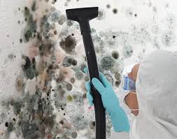 Best Mold Damage Restoration in Whitehall, OH